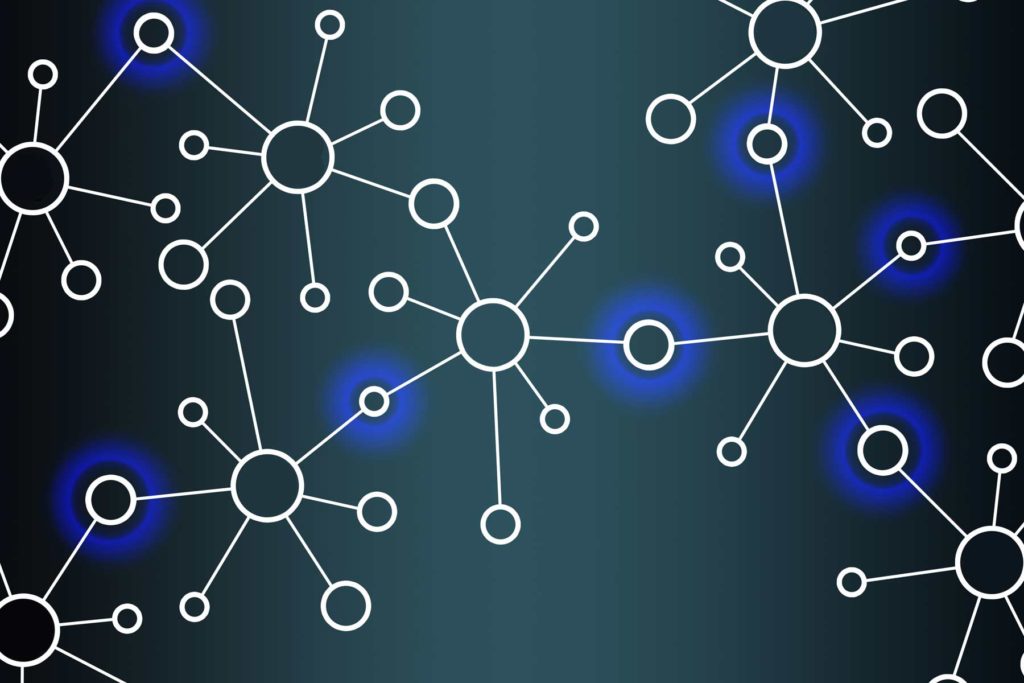 Zusammensetzung des Netzwerks - Netzwerk Stadt-Land